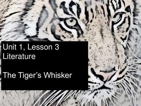 The Tiger's Whiskers -  A Timeless Tale Exploring Greed and Compassion with a Dash of Whimsy!